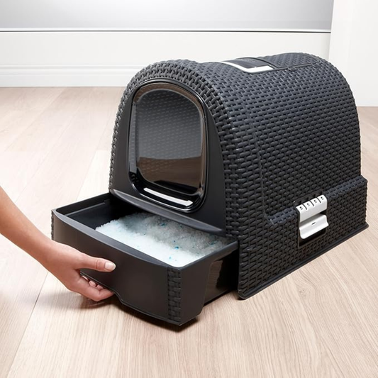 Arenero Cerrado para Gatos Curver 51,5 cm Grafito